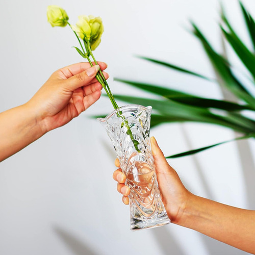 Vaso De Plantas Para Mesa De Jantar Vasinhos De Flores Vidro