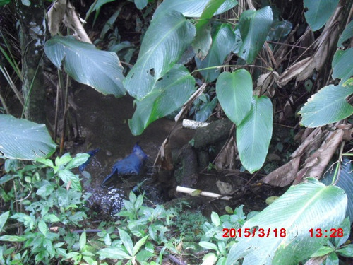 Imagem 5 de 15 de Chácara Na Estrada Dos Claudios Murundu | 38562 - 38562