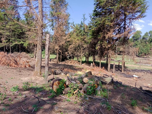 Terreno Kilómetro 47