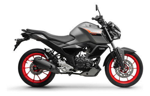 Fz15