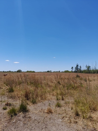 Campo Ganadero Agrícola -sobre Ruta Nacional 12 - Corrientes