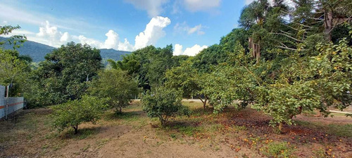Imagem 12 de 13 de Belíssima Chácara Em Biritiba Mirim!