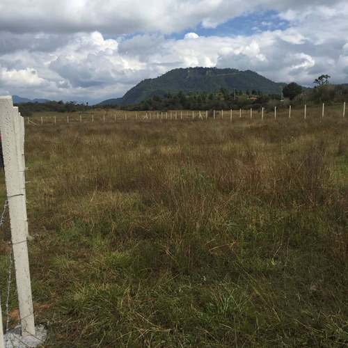 Imagen 2 de 5 de Venta De Terreno Escriturado En Patzcuaro,michoacan. Uruapan