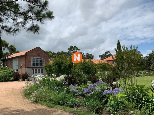 Imagen 4 de 14 de Chacra En Venta En Jose Ignacio, Punta Del Este - Jose Ignacio José Ignacio