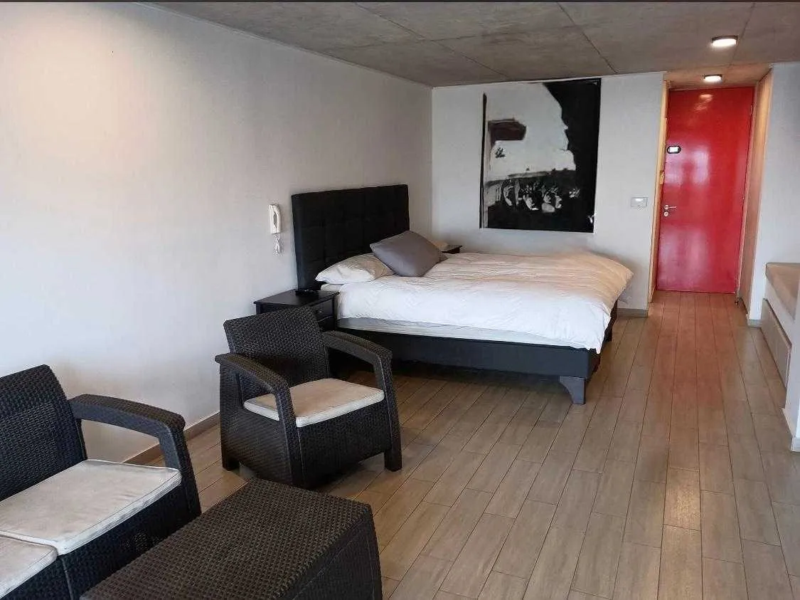 Imagen 5 de 19 de Loft Premium (165472)