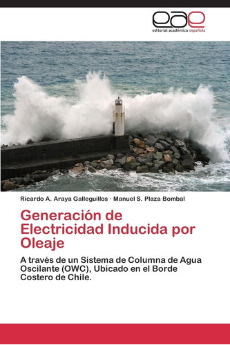 Libro: Generación De Electricidad Inducida Por Oleaje: A Tra