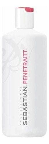 Kit Sebastian Penetraitt Shampoo 1000ml E Máscara 500ml