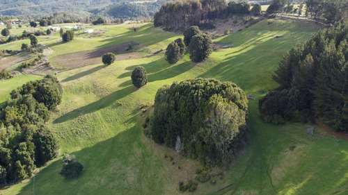 Imagen 11 de 16 de Campito De 7ha Mirador Del Mañio - Los Muermos
