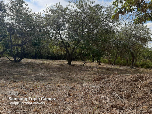 Imagem 7 de 13 de Você Não Pode Perder - Terrenos Com Pequena Entrada De 10mil