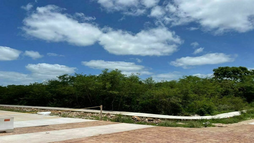 Terreno En Venta Reserva  Chicxulub Yucatan