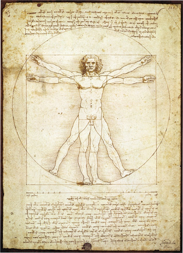 Imagen 1 de 1 de Hombre Vitruvio Da Vinci Mini Rompecabezas 1000 Piezas Tomax