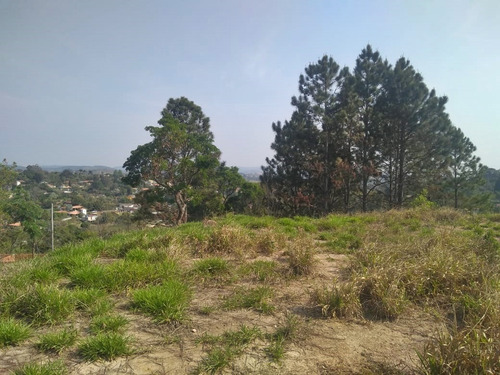 Imagem 7 de 7 de ***belíssimo Terreno***
