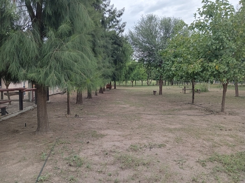 Vendo Propiedad De 5 Hectareas , Con Proyecto De Loteo , Incluye 2 Casas. Zona Inmejorable