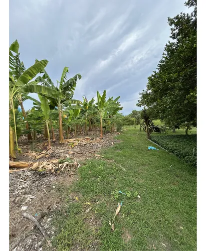 Se Vende Lote En Montenegro - Quindio