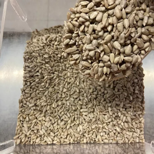 Primeira imagem para pesquisa de semente de girassol