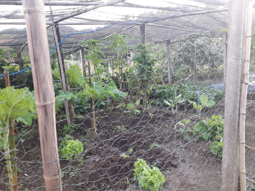 Venda Sítio - Pocinhos Do Rio Verde 72.000m2 (aceita Troca) Com Mina