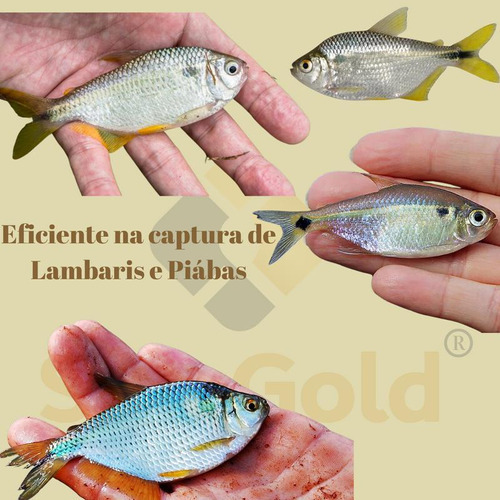 Rede Pesca Lambari Malha 2 X 2cm ( 20mm ) Fio 0.20 30 Metros