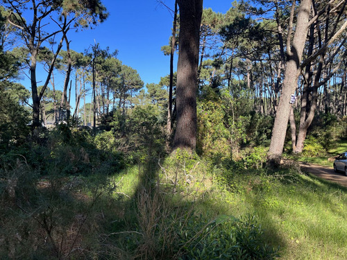 Lote En Venta (ref: Bpv-9687)
