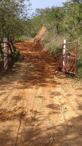 Imagen 9 de 21 de Vendo Finca Ganadera En Balboa Risaralda