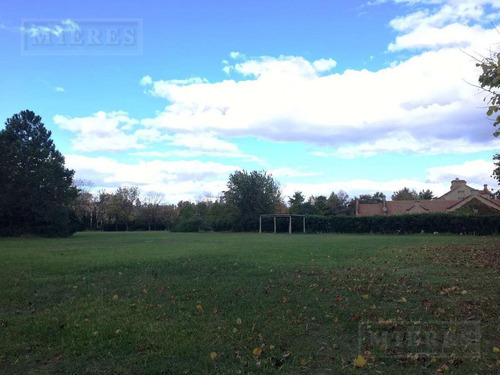 Imagen 3 de 10 de Terreno En Venta De 2600m² En Martindale Cc