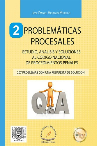 2 Problemáticas Procesales (207 Problemas Con Una Respuesta De Solución), De José Daniel Hidalgo Murillo., Vol. 01. Editorial Flores Editor Y Distribuidor, Tapa Blanda En Español, 2016