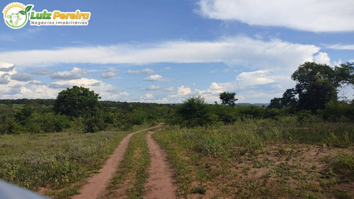 Imagem 11 de 15 de Fazenda Á Venda Em Corguinho/taboco - Ms -551 Hectares (dupla Aptidão) - 2237