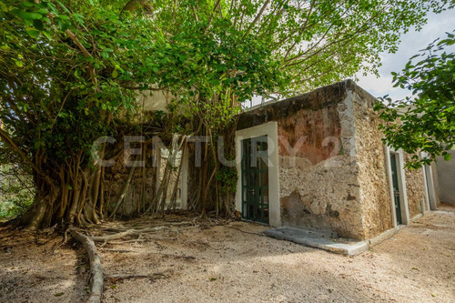 Casa En Venta En El Centro, Mérida, Yucatán