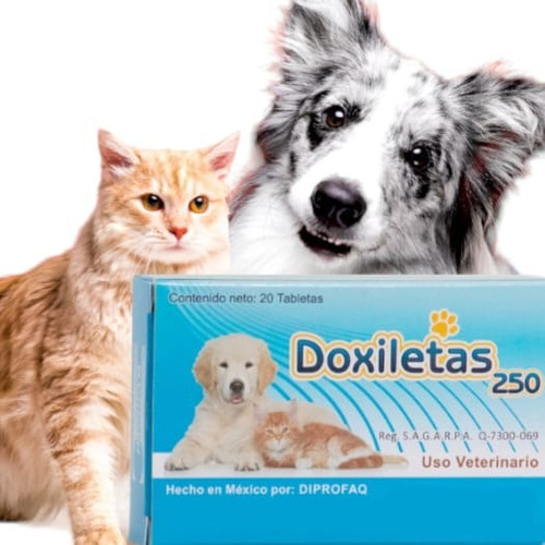 Doxiletas 250mg 20 Tabletas ** Diprofa'q **