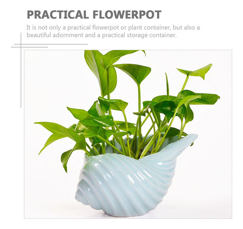 Macetas Para Plantas Con Forma De Caracola Para Interior