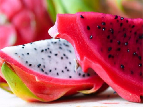 Kit Pitaya 2 Cores -- Cacto Dragon Fruit Sementes Para Mudas