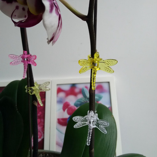 Clips De Soporte Para Plantas De Jardín, 30 Uds., Clips De