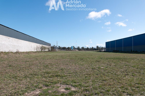 Deposito Nave Industrial San Vicente 4.400 Mts Totales