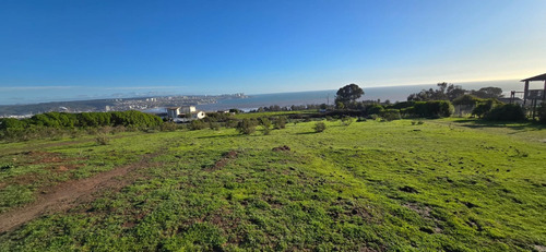 Punta De Piedra A 4k De Rotonda Concón