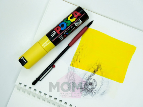 Imagen 10 de 10 de Marcadores Posca 1m Básicos (set 12)