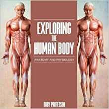 Exploring The Human Body | Anatomy And Physiology