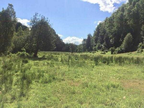 Excelente Terreno En Venta En Pucón / Sector Menetúe