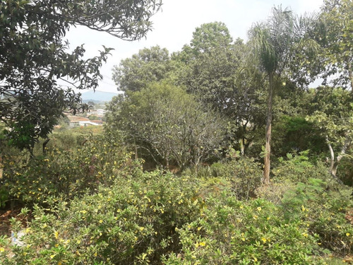 Imagem 2 de 24 de Chácara Formada Em Piracaia, Totalmente Plana Espaço Para Piscina E Campo De Futebol. - Ch0067