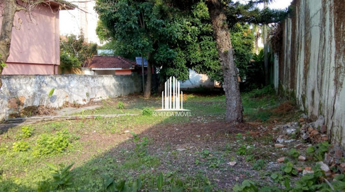 Imagem 5 de 10 de Oportunidade De Terreno Para Alugar Com 700m² E Casa Antiga Nos Fundos - Campo Belo - Mz8086
