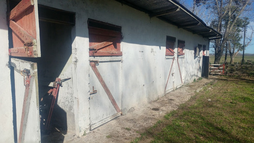 Imagen 13 de 14 de Campo Mixto, Ideal Haras Ptdo Punta Indio