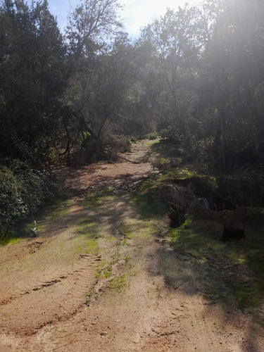 Cajon De Lebu - Se Vende Linda Parcela De 5000 M2