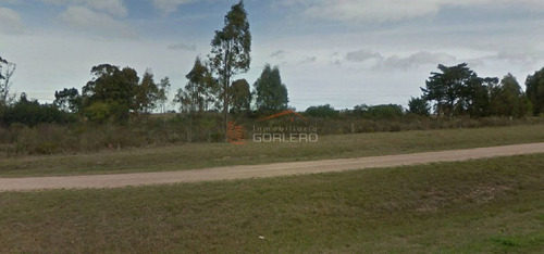 Imagen 3 de 3 de Chacra En Venta Al Norte De José Ignacio, Próximo A Ruta 9, Cañadita, Tapera, Monte Abrigo