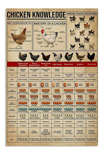 Pster De Conocimiento De Pollo Con Detalle Sobre Pollo Para