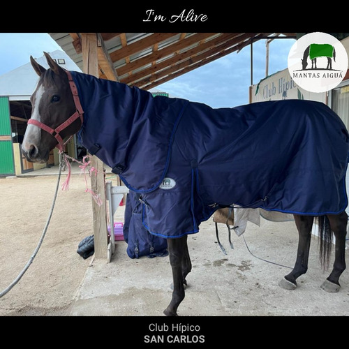 Manta Capa Caballo Importada (descuento Vta. Directa)