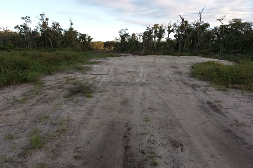 Imagem 10 de 14 de Terreno - 1547t - 69232909