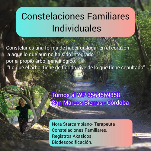 Constelaciones Familiares Por Zoom