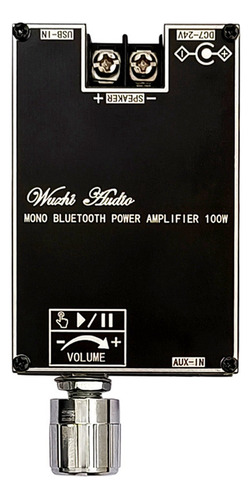 Gran Valor Placa Amplificadora De Audio Mono De 100 W Con