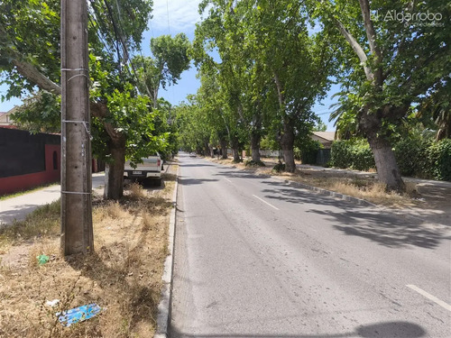 Sitio En Venta En Peñaflor