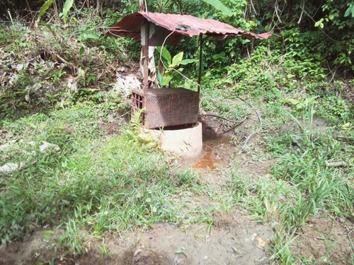Imagen 2 de 15 de Se Vende Finca En Nirgua Sector Las Palmas / Yaracuy.