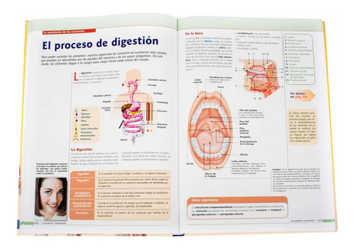 Imagen 3 de 5 de El Cuerpo Humano Fisiologia Y Anatomia / Lexus