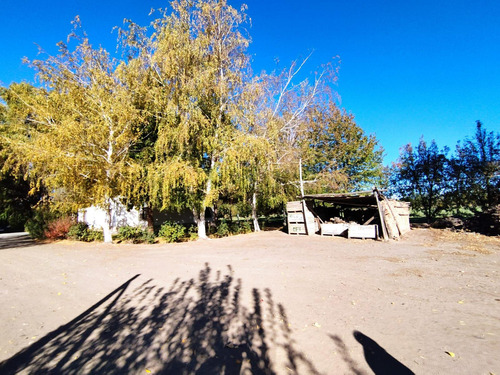 Venta De Chacra Con Casa En Allen, 6 Hectareas